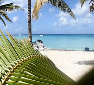 Wunderschöne Badestrände auf Saona