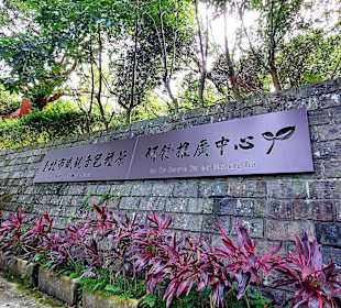 Maokong Gondel - Rund um Maokong Station 