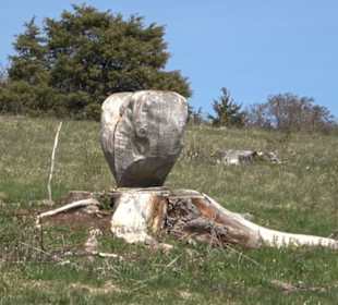 Naturreservat Beutenlay