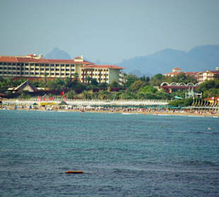 Inspirationen an d.Strandprom.entlang Nov.2010