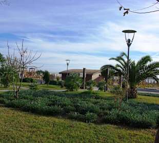 Aufgenommen vom 23.-29.11.2013