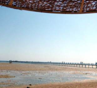 So sieht es leider aus