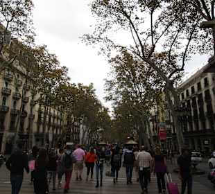 Ramblas 