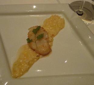 Gebratene Jakobsmuscheln, Orangen-Risotto