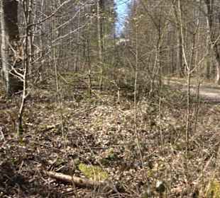 Historischer Rundwanderweg Aichtal