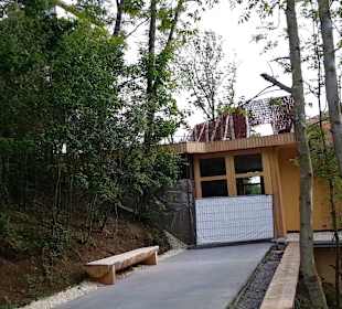 Wellnessbereich Mawell Resort 