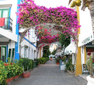 Wunderschöne Hafengassen