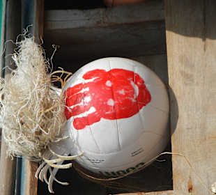 Willson war immer dabei