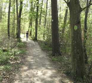 Wanderweg Hochgehwachsen