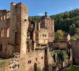 Schloss Heidelberg