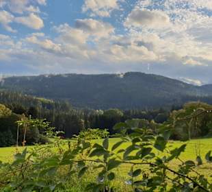 Wandern Drachselsried