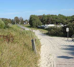 Strand Dierhagen