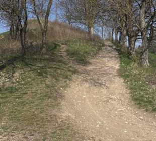 Wanderung Florianrunde