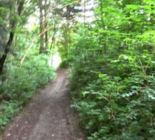 Wanderweg - Alter Steinbruch Pfaffenberg Runde