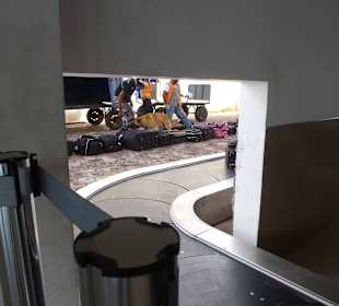 Erst geht der Hund drüber, also Tapsen  drauf