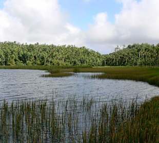 Grand Etang Lake