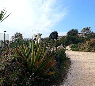 Kakteengarten am Skulpturenpark