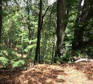Hochgeträumt Premiumwanderung