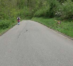 Wandertour durchs Reissenbachtal Oberhausen