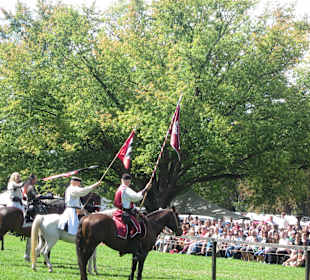 Mittelalterliches Spectaculum 