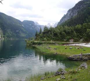 Wanderweg rund um den Gosausee