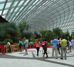 Gardens by the Bay