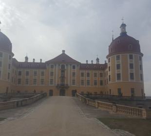 Ansicht Schloss Moritzburg vom Park