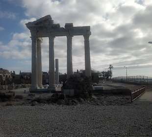 Heute morgen ganz alleine