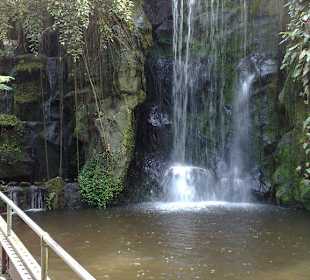 Tolle Landschaft im Dschungel