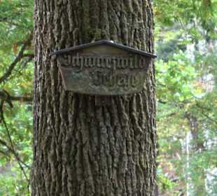 Altwege Rundwanderung Bebenhausen