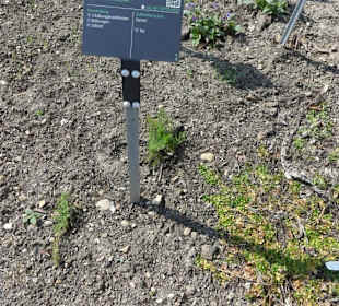 Erläuterungen der Kräuter