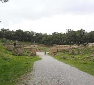 Arena