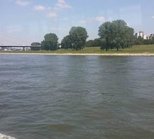 Auf dem Rhein