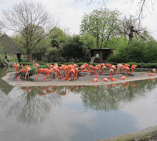 Zoo Dresden