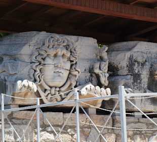 Medusa