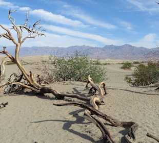 Death Valley