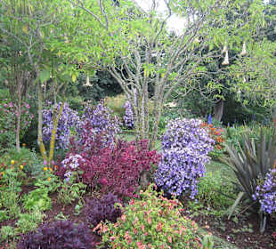 Gärten in Funchal