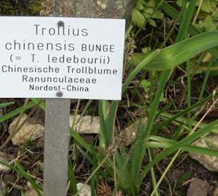 Alpinum
