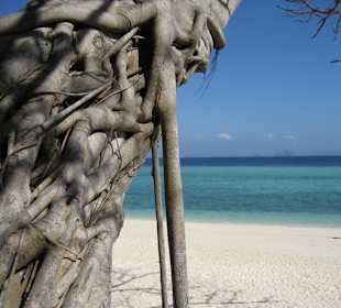 Bamboo Island