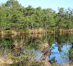 Impressionen vom Rundgang durch das Pietzmoor
