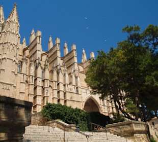 Palma