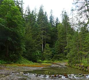 Wandern Ladis