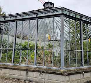 Palmenhaus