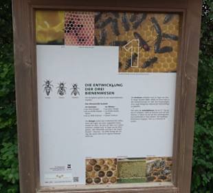 Naturinfopfad Weggental