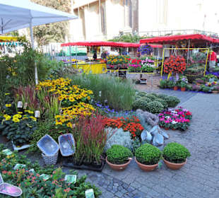 Rundgang über den Wochenmarkt Südermarkt 