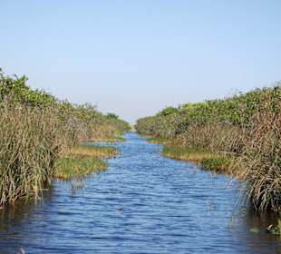 Ausflug in die Everglades