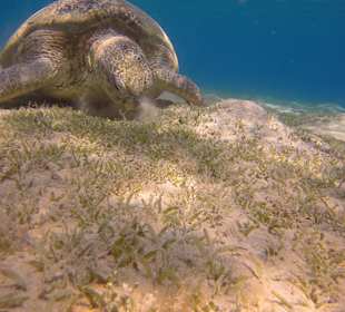 Ausflug mit Coco Trans