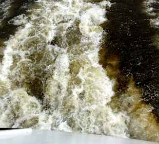 Blick in die Hecksee