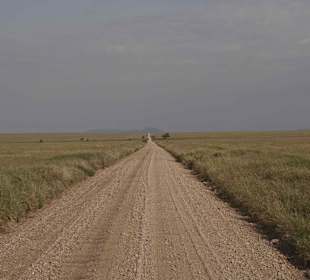 Strasse durch die Serengeti