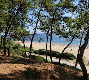 Strand Skala